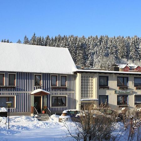 Haus Gruene Insel - Ferienwohnungen Altenau (Lower-Saxony) Exterior foto