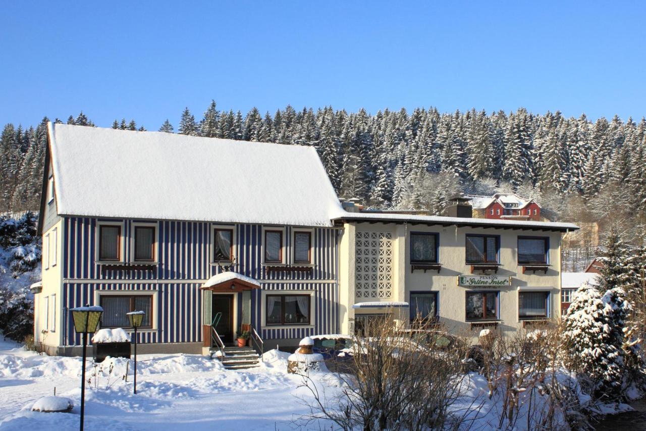 Haus Gruene Insel - Ferienwohnungen Altenau (Lower-Saxony) Exterior foto