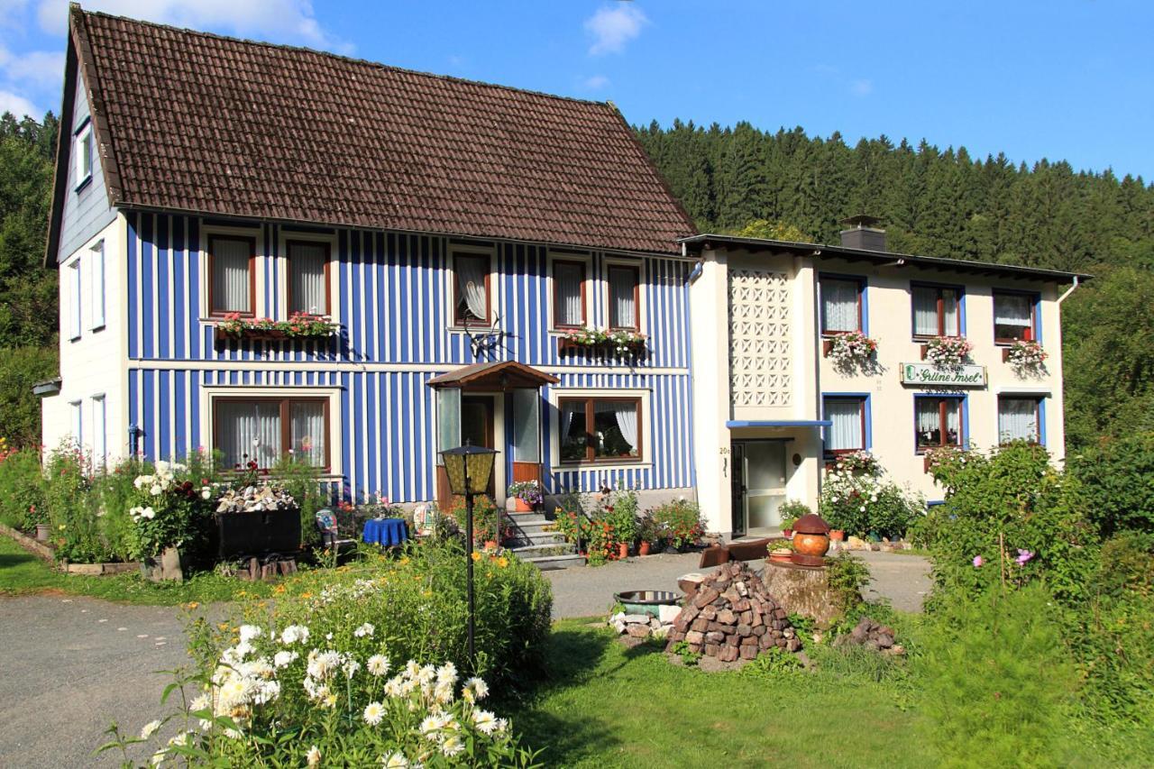 Haus Gruene Insel - Ferienwohnungen Altenau (Lower-Saxony) Exterior foto
