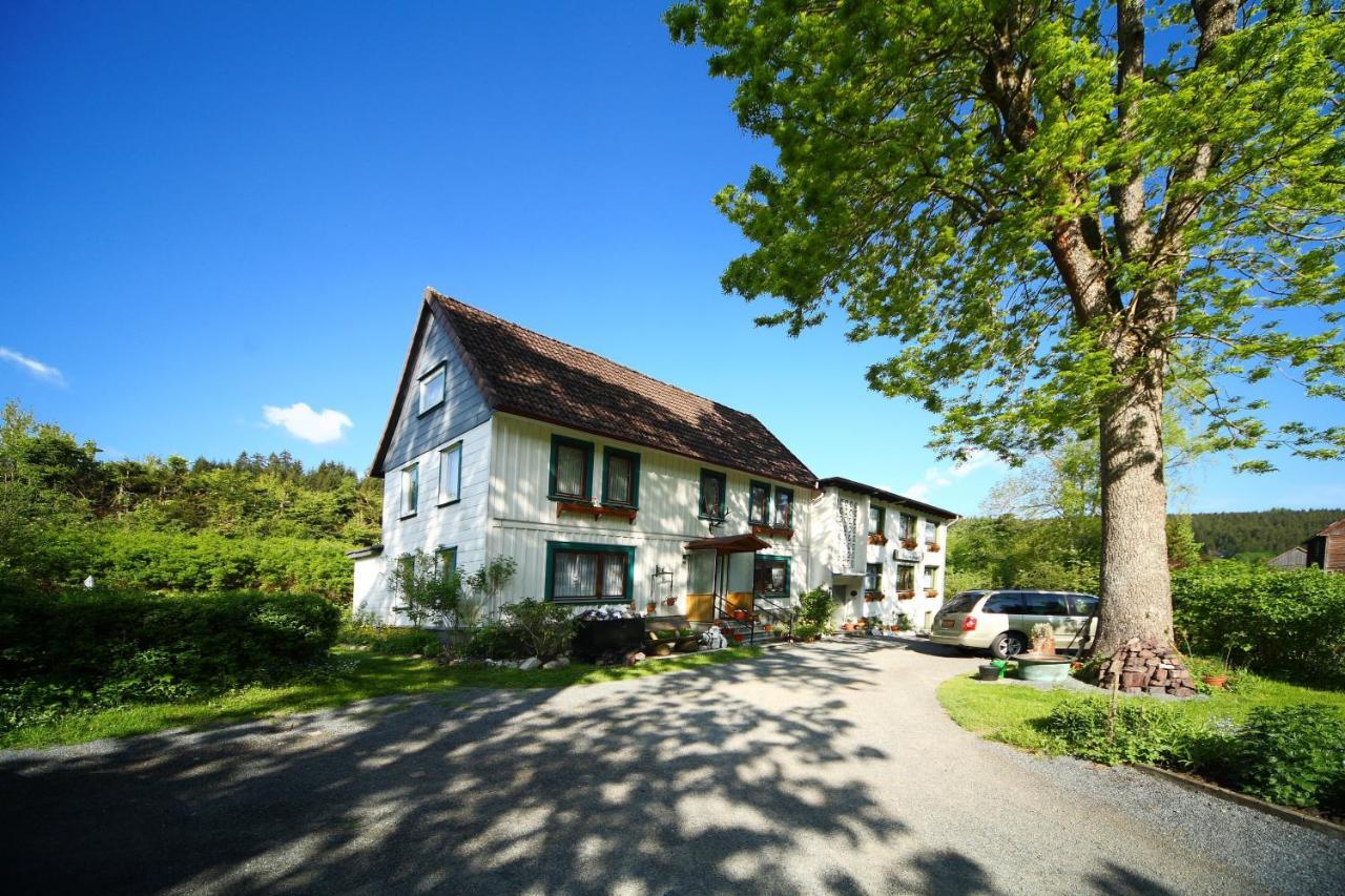 Haus Gruene Insel - Ferienwohnungen Altenau (Lower-Saxony) Exterior foto