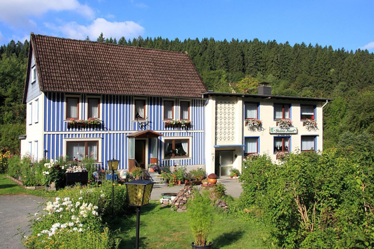 Haus Gruene Insel - Ferienwohnungen Altenau (Lower-Saxony) Exterior foto
